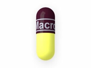 Macrobid (Nitrofurantoin monohydrate)